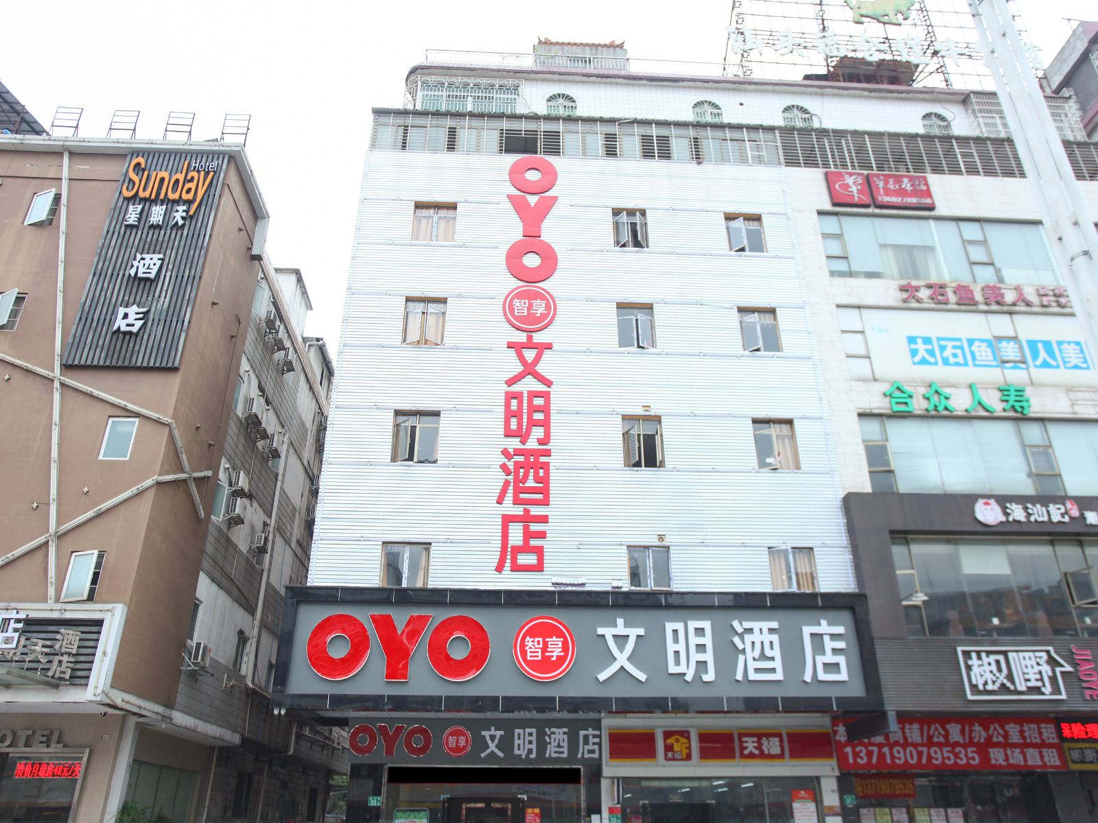 外观