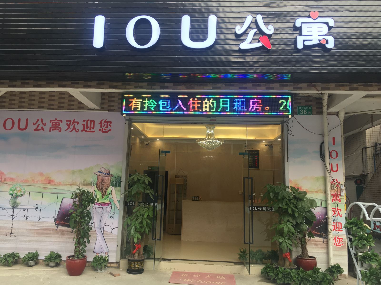 外观