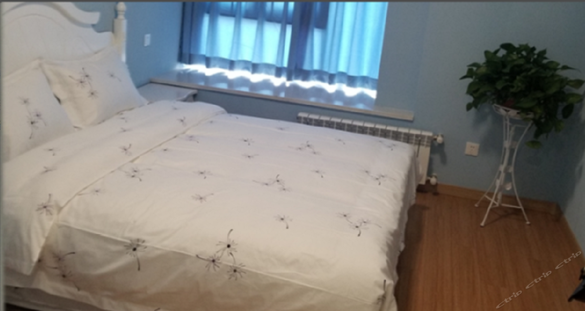 阳光大床房