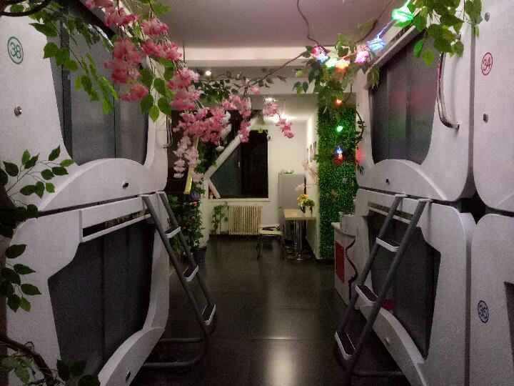 特惠男女混合太空舱(床位)