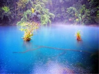 貴州游價格_2021年貴州旅游團(tuán)報(bào)價_旅行團(tuán)貴州游