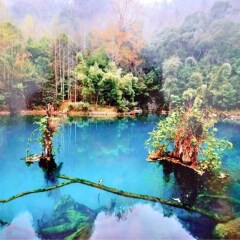 景点模块 