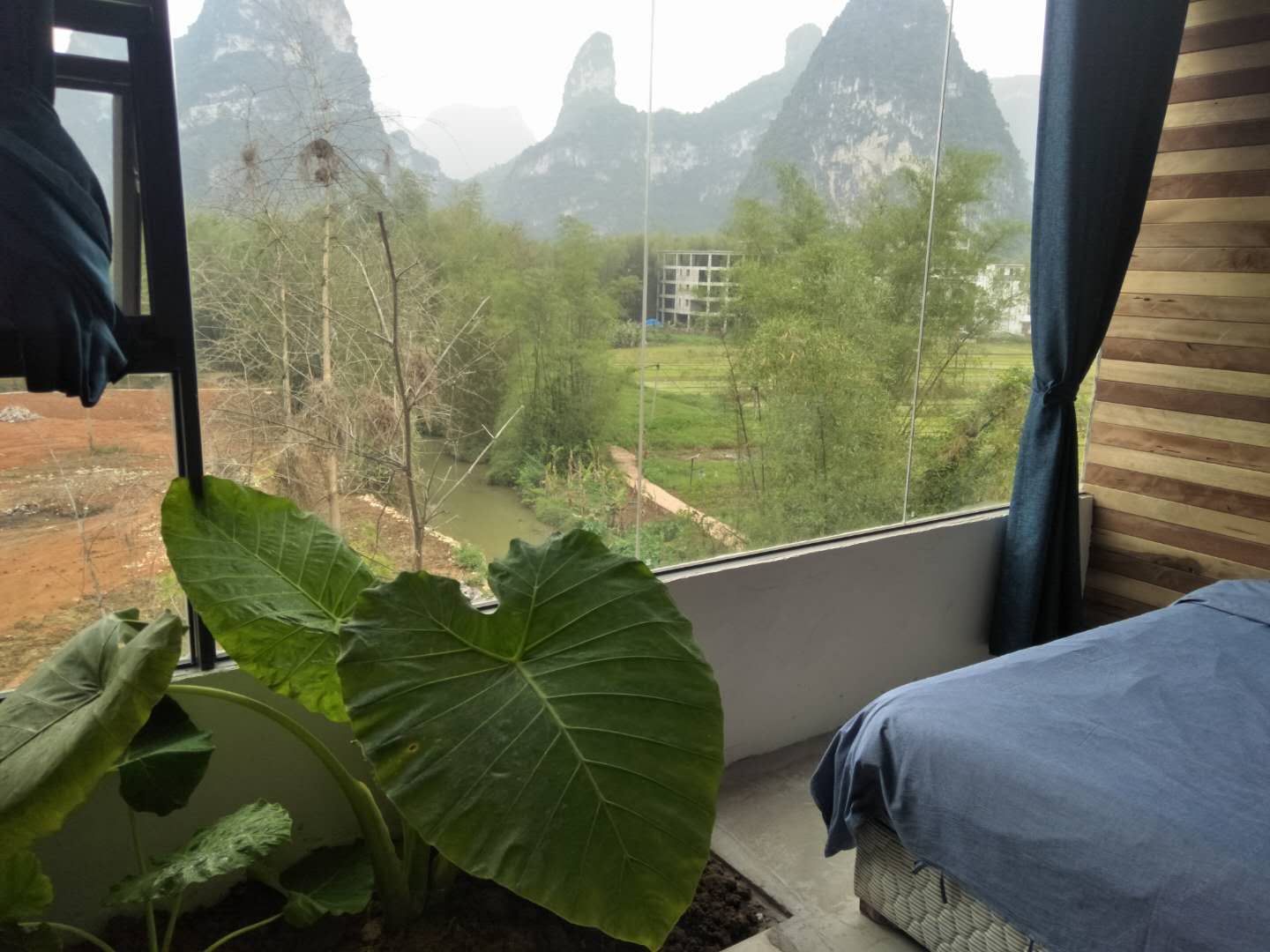 豪华标准房