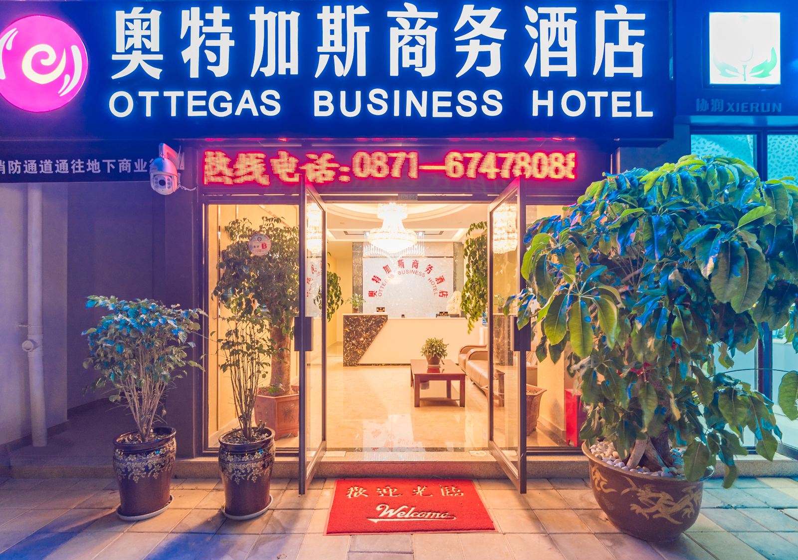 外观