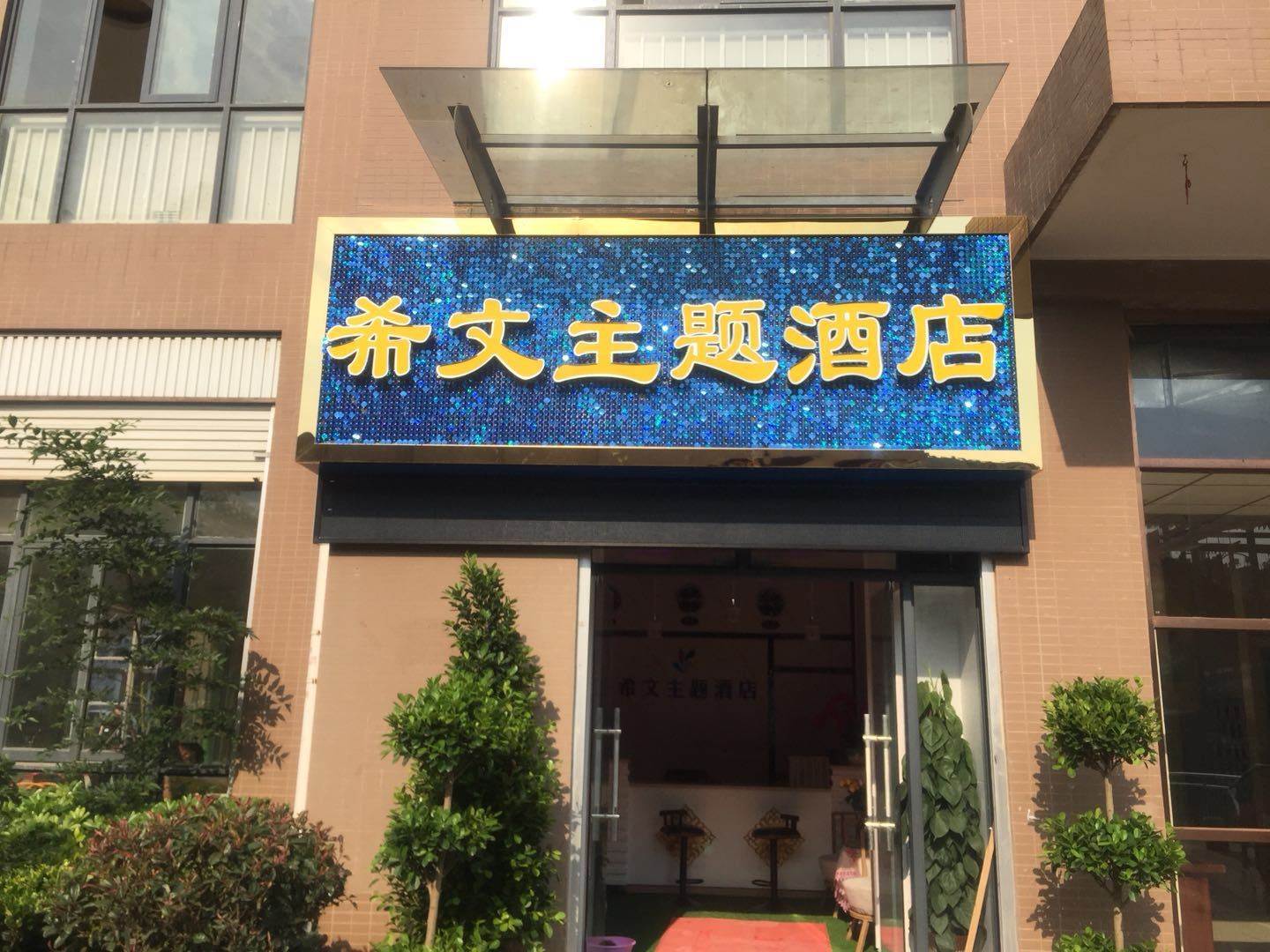 外观
