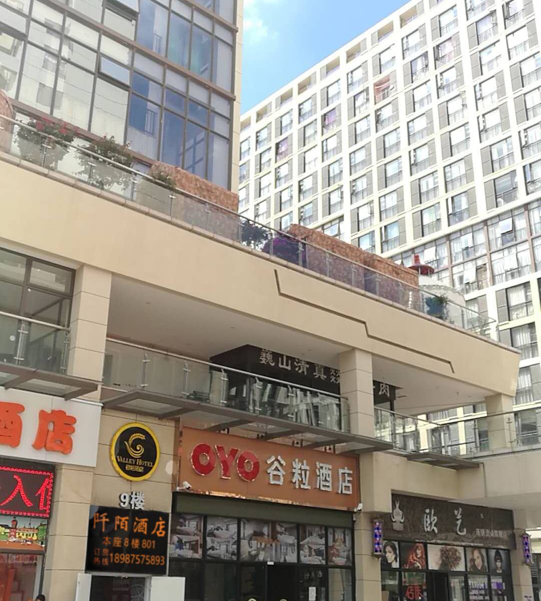 外观