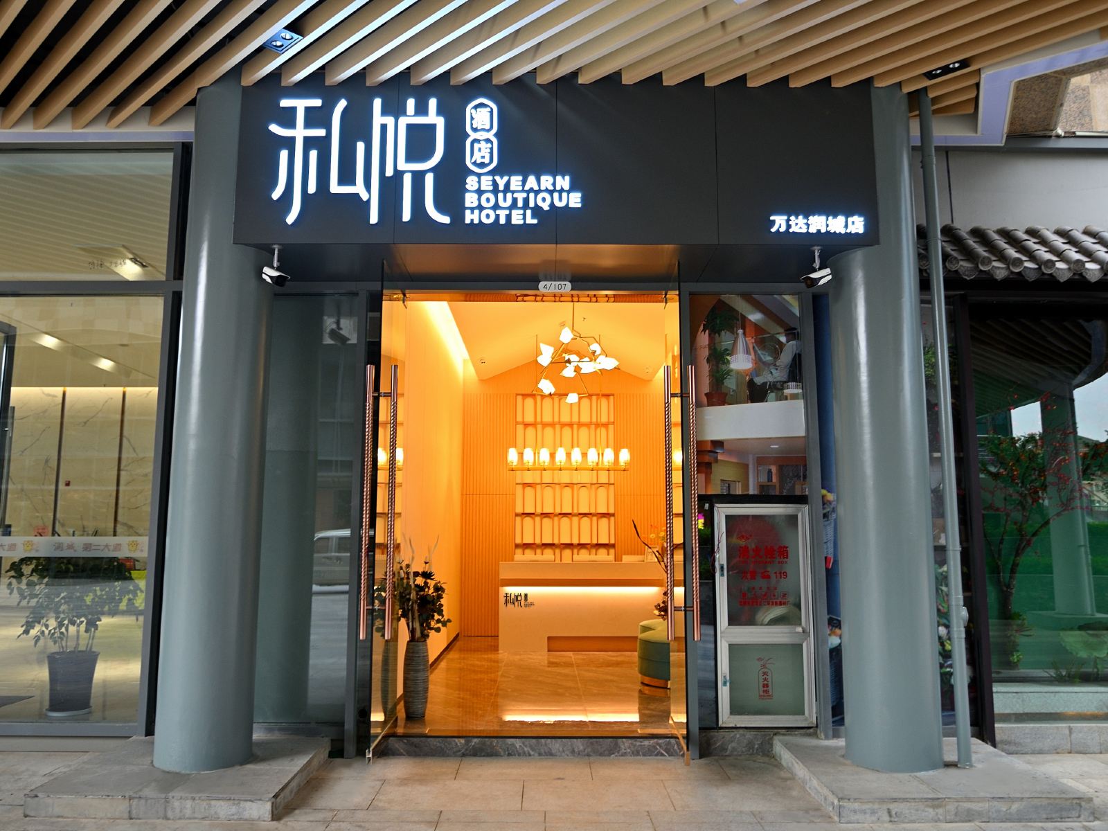 外观