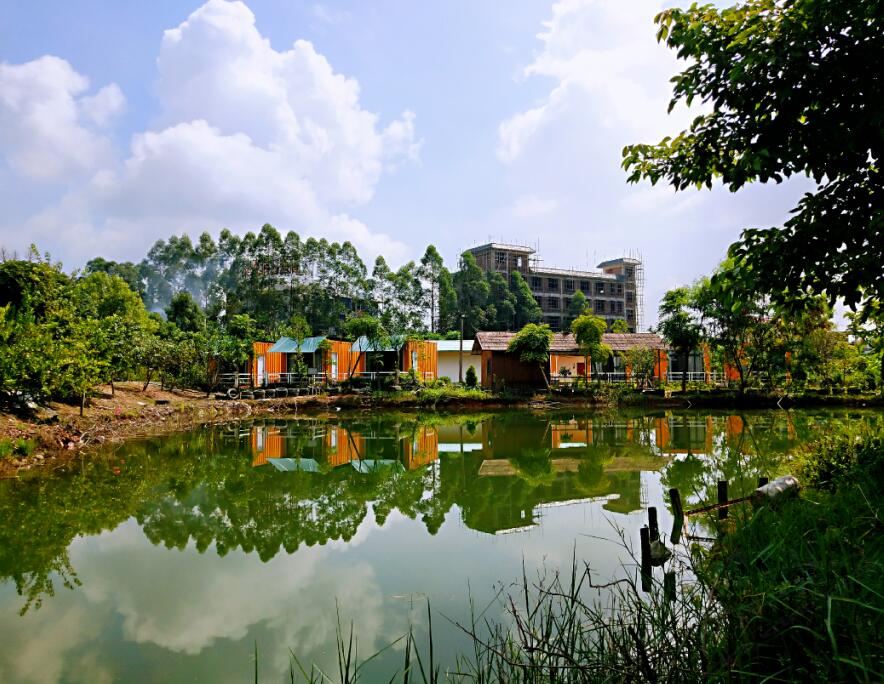 临水集箱露台双床房