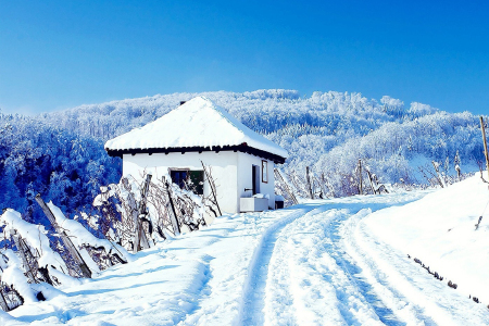 <云南-昆明-轿子雪山1日游>冬观冰雪世界,云影秋光雾凇景观天池瀑布周边趣游,0购物,含门票索道摆渡车 <云南-昆明-轿子雪山1日游>冬观冰雪世界,云影秋光雾凇景观天池瀑布周边趣游,0购物,含门票索道摆渡车