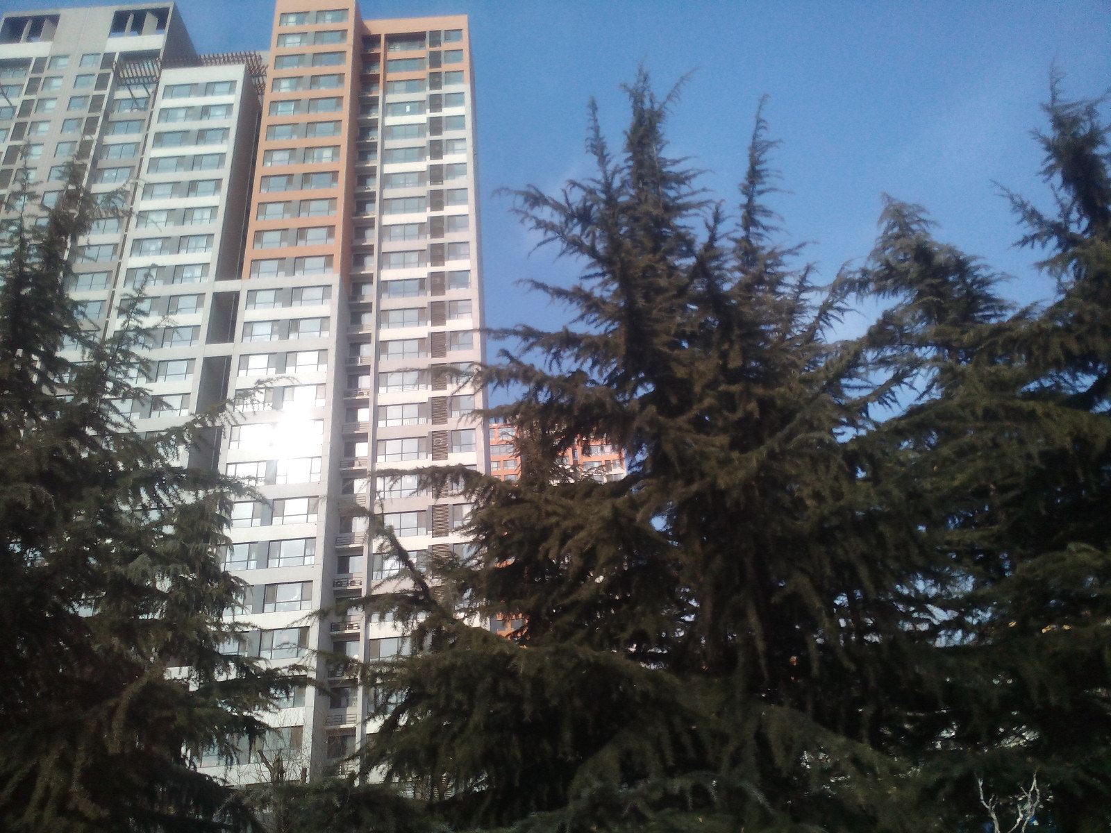 鑫鑫连锁公寓(济南北园大街店)
