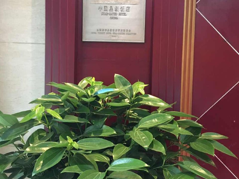 酒店大堂