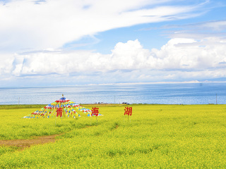 蘭州青海湖旅游最佳路線_到蘭州青海湖旅游多少錢_2021年蘭州青海湖旅游團(tuán)報(bào)價(jià)