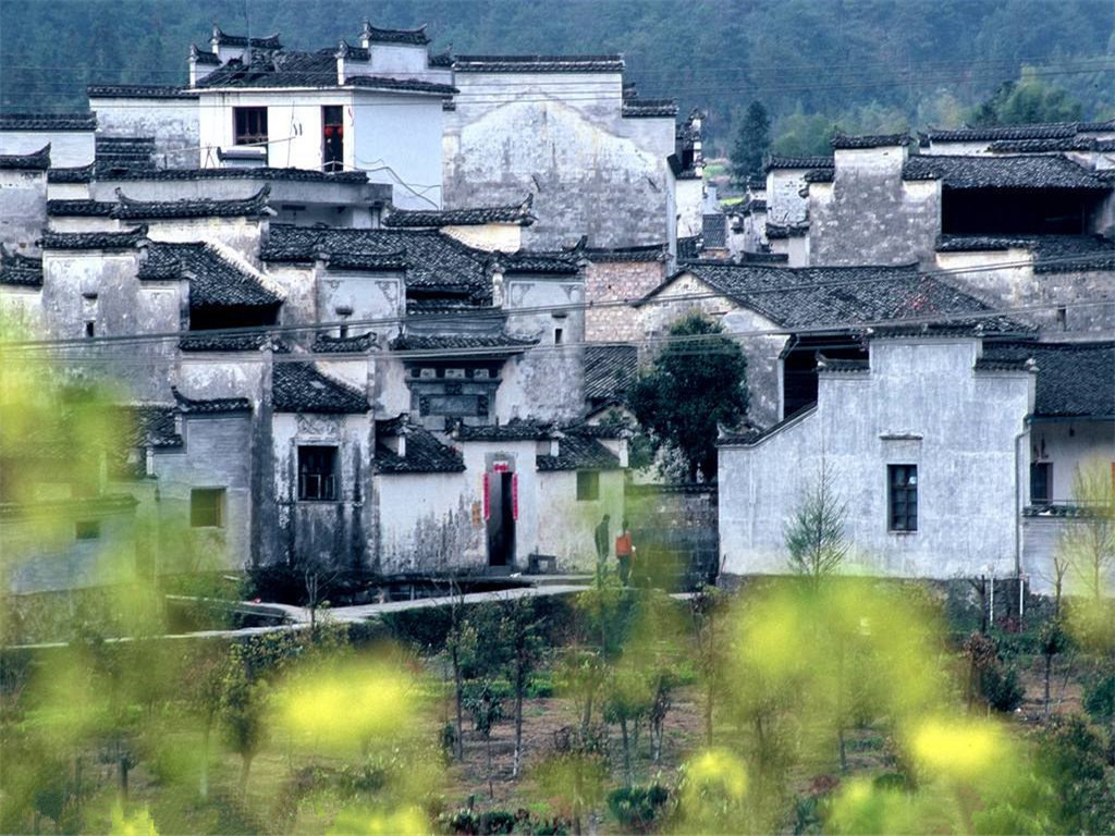  黄山黟县-宏村景区-西递1日游>纯玩0购物,含特色午餐