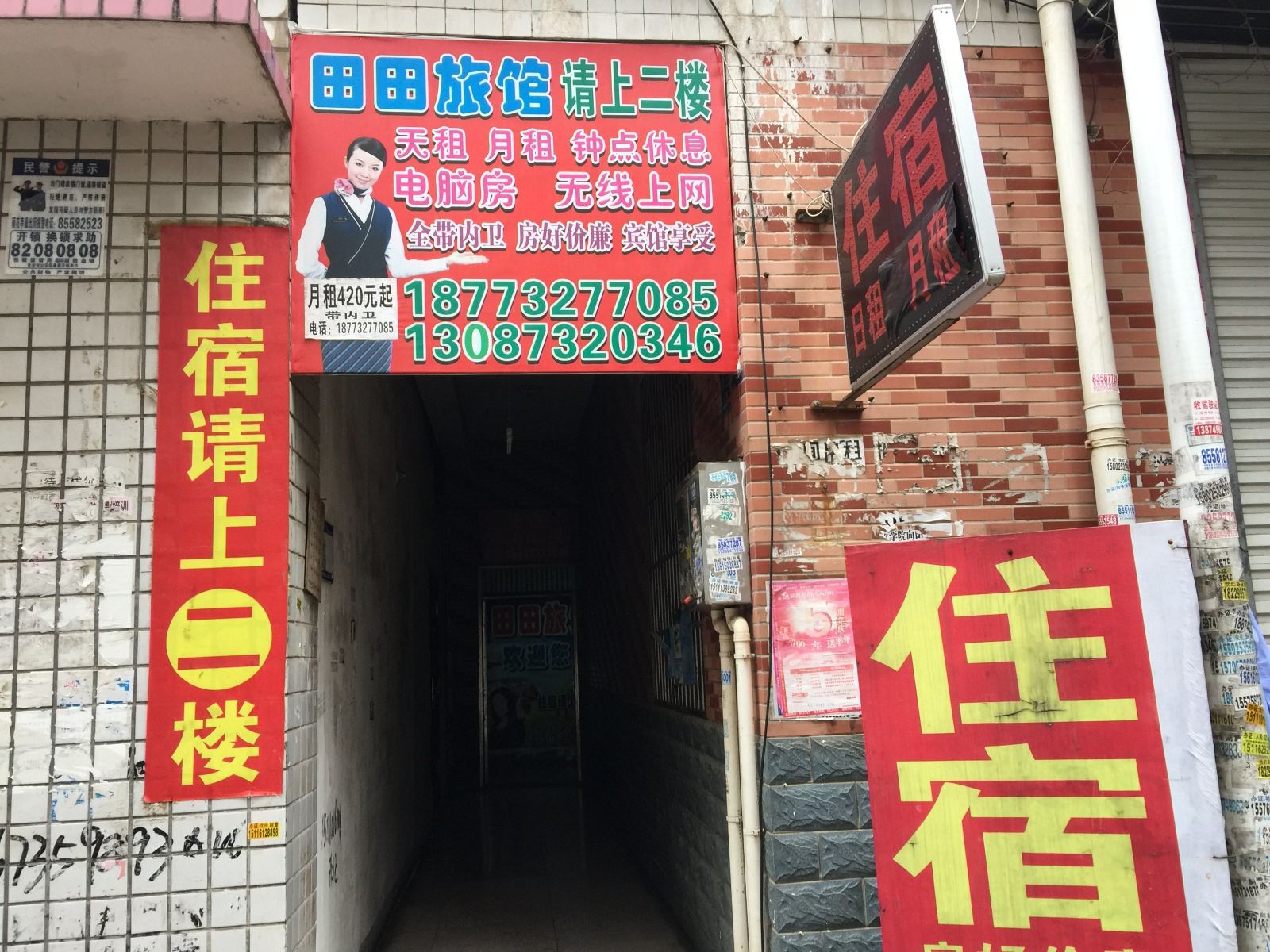 外观