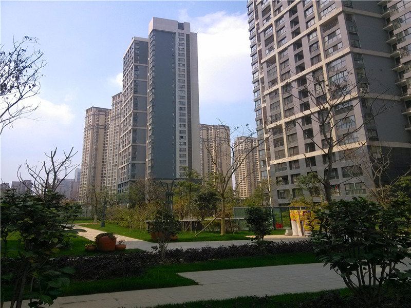 乐居公寓(合肥星隆购物广场店)