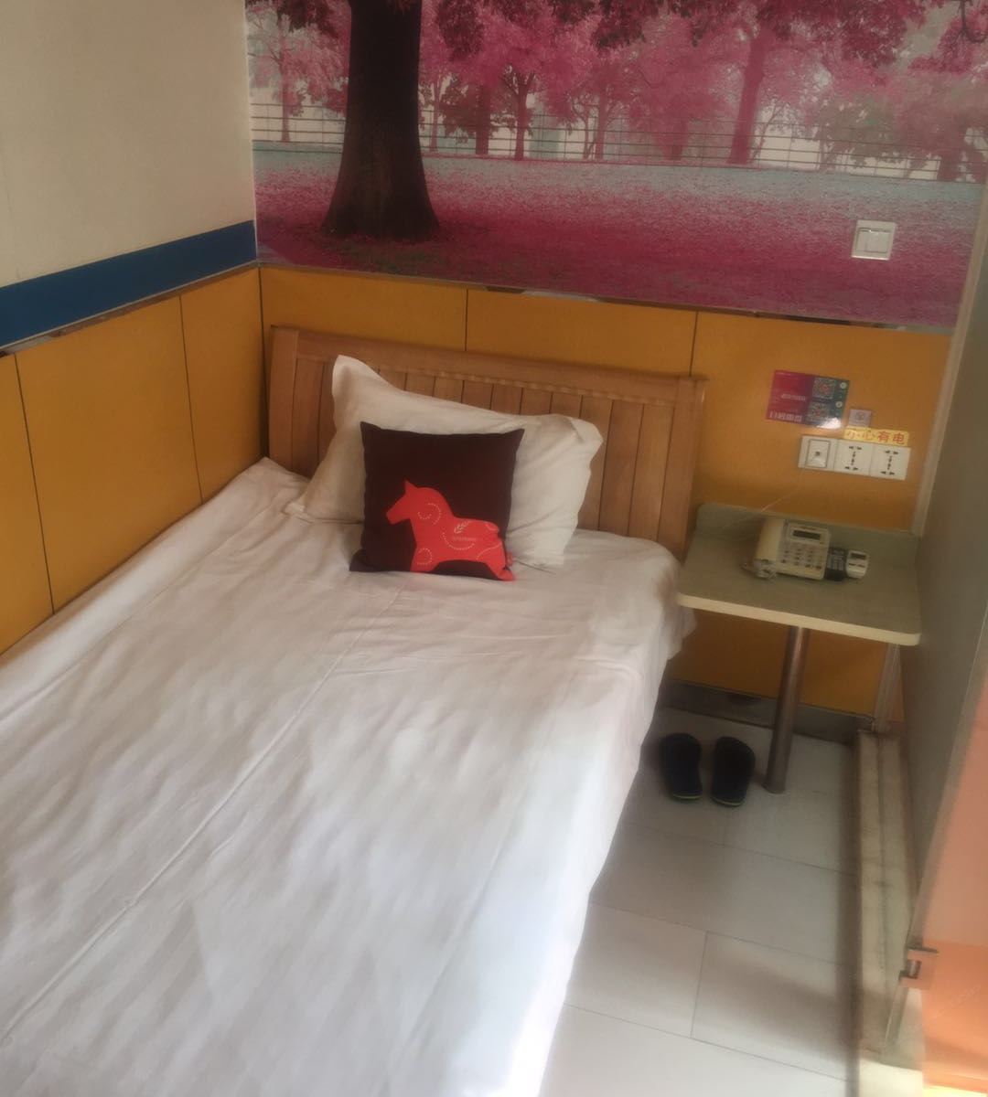 高级单人间
