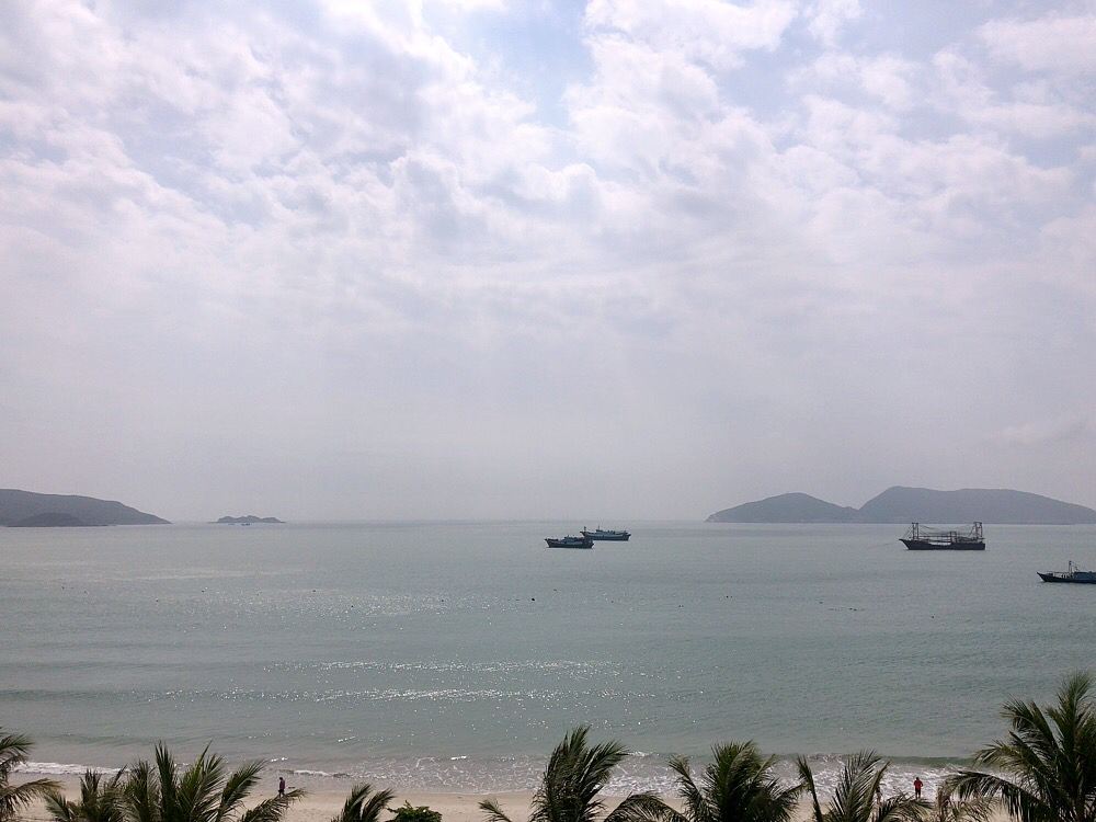 园景大床房