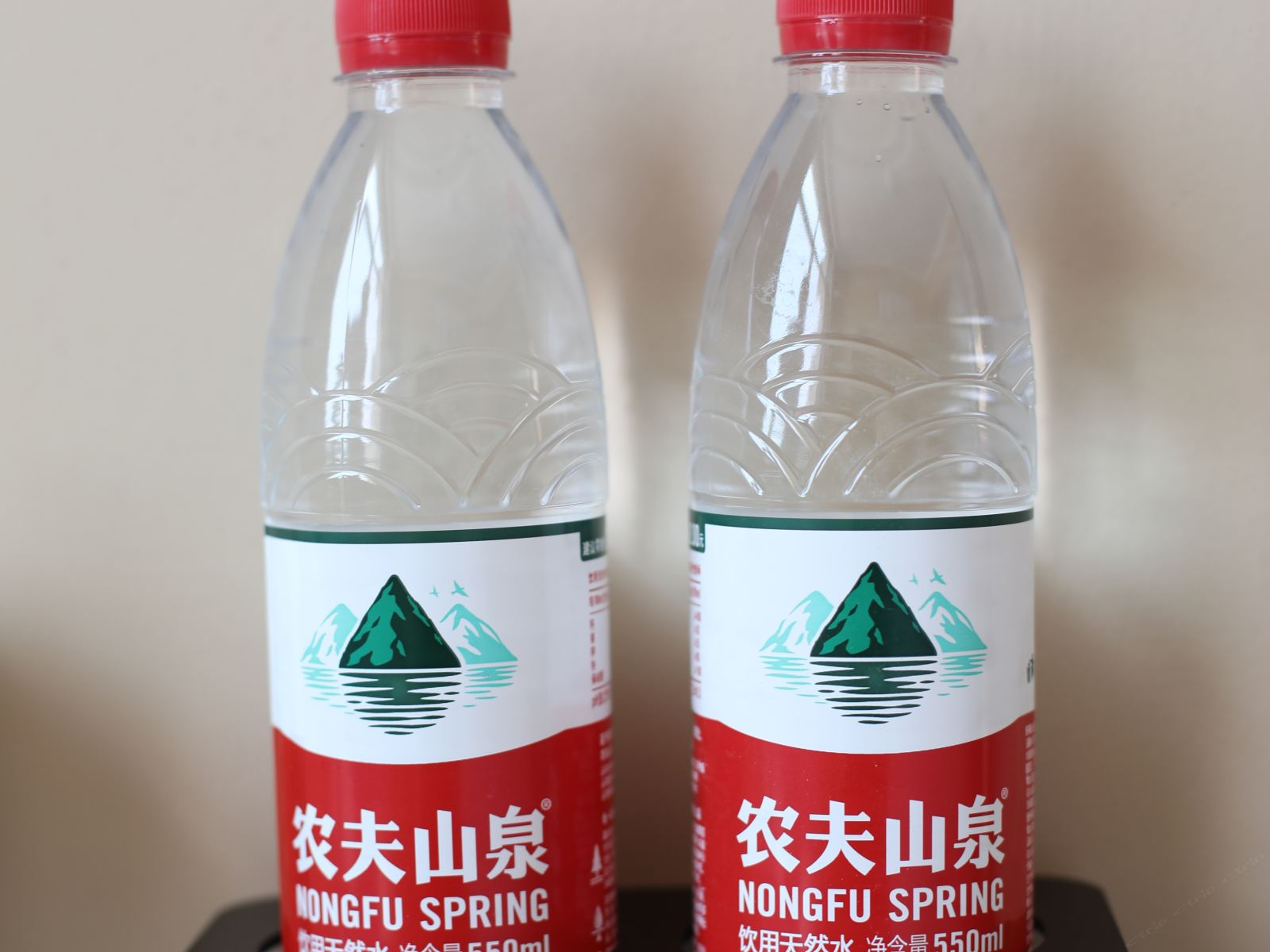 普通海景双床房