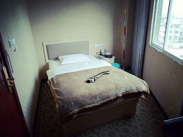 普通单人间