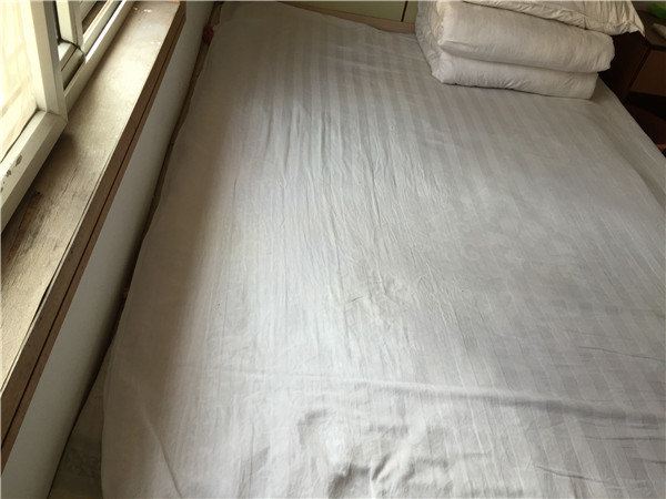 普通大床房