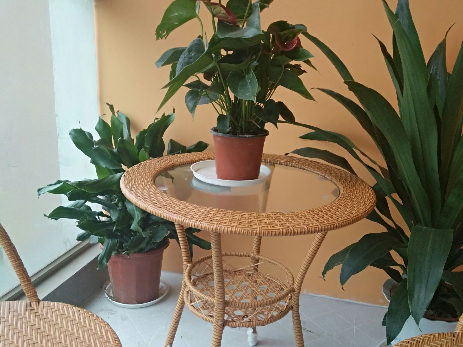 精品风景房