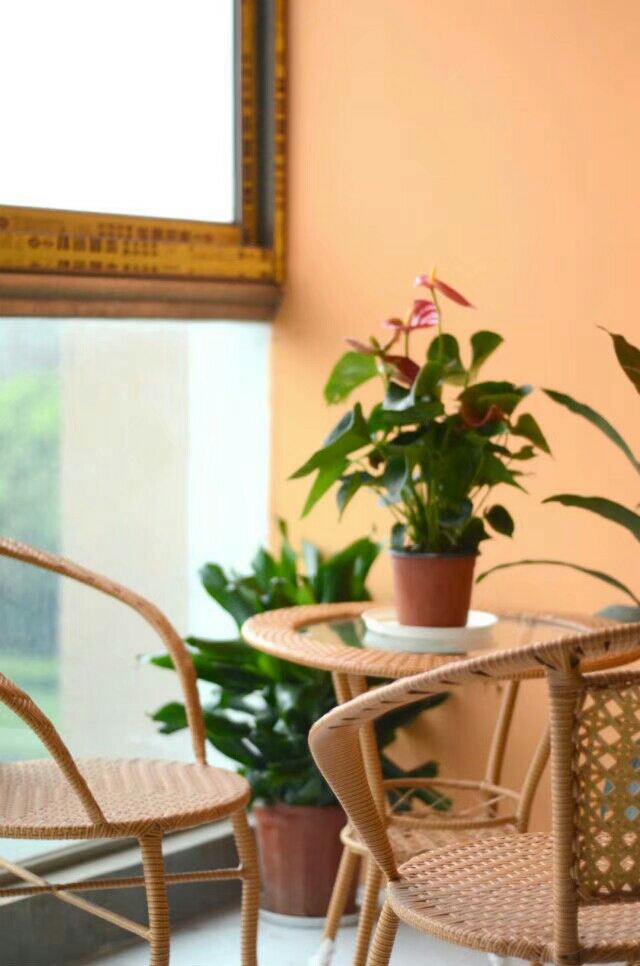精品风景房