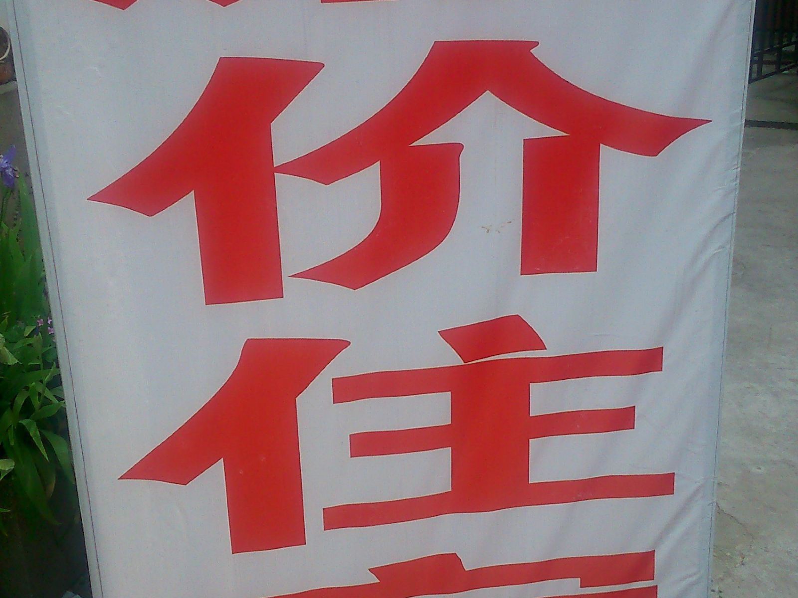 外观