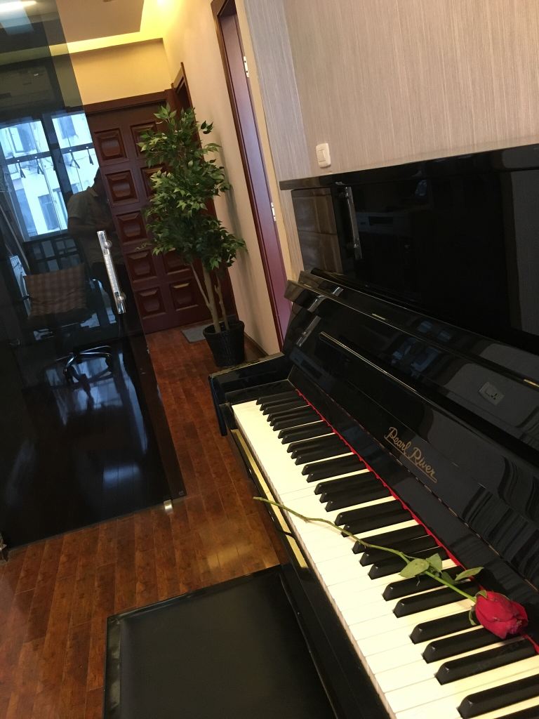 武汉湖景豪装公寓
