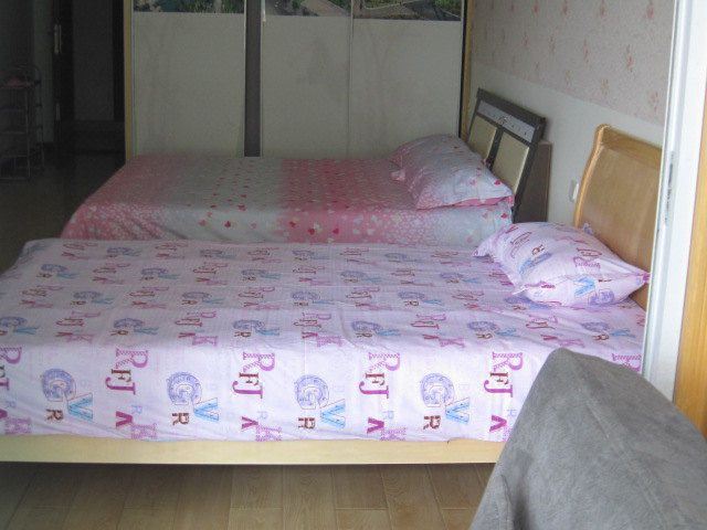 海豚之恋单间
