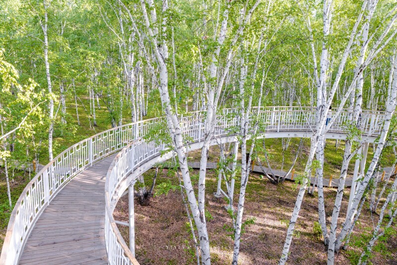 景区里还修建了一个空中栈道,一直可以到