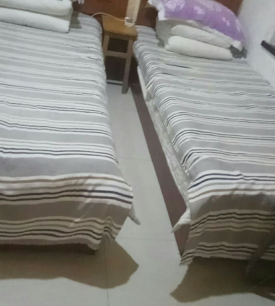 标准双床房