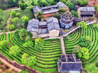 去西双版纳会议旅游_西双版纳十日游_去西双版纳旅行跟团