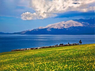 到青海旅游跟团报价_过年去青海旅游团_十一青海游
