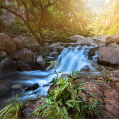 景点模块 