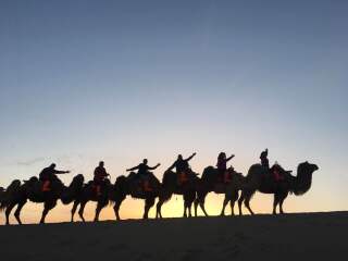 青海湖最適合旅游的季節(jié)_2021年青海湖旅游團報價_青海湖旅游多少錢一個人