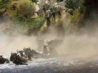 肯尼亞自由行旅游團_特價肯尼亞游_到肯尼亞旅游多少錢