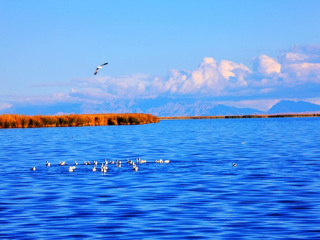青海湖最適合旅游的季節(jié)_2021年青海湖旅游團報價_青海湖旅游多少錢一個人