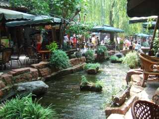 去成都7天游_成都旅行社_成都旅游的报价