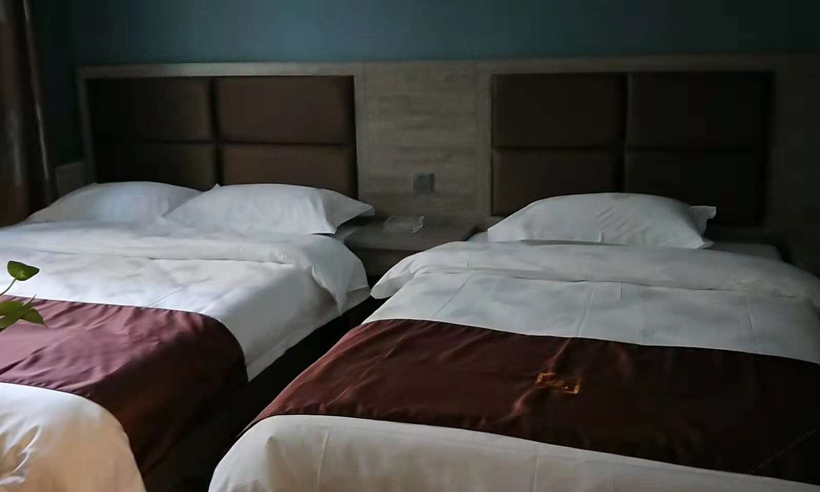 普通房