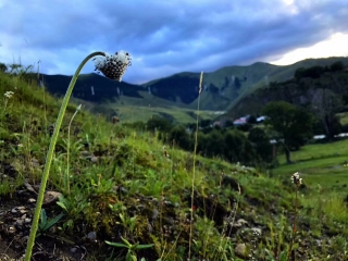四川旅游報團(tuán)價格_四川旅游跟團(tuán)需多少錢_四川私人定制旅游