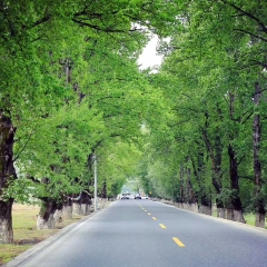 小交通模块 