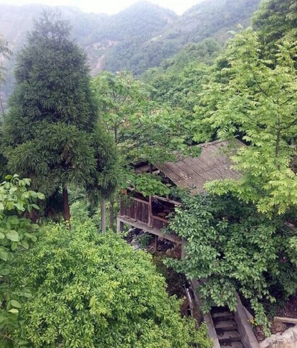 彭州金辉农家乐
