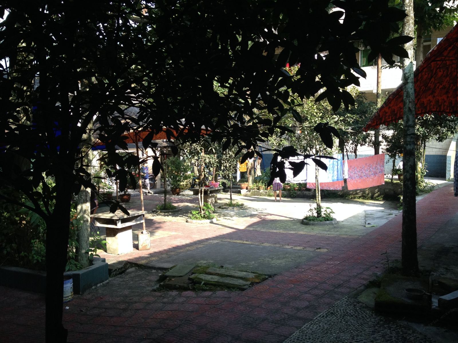 公共区域