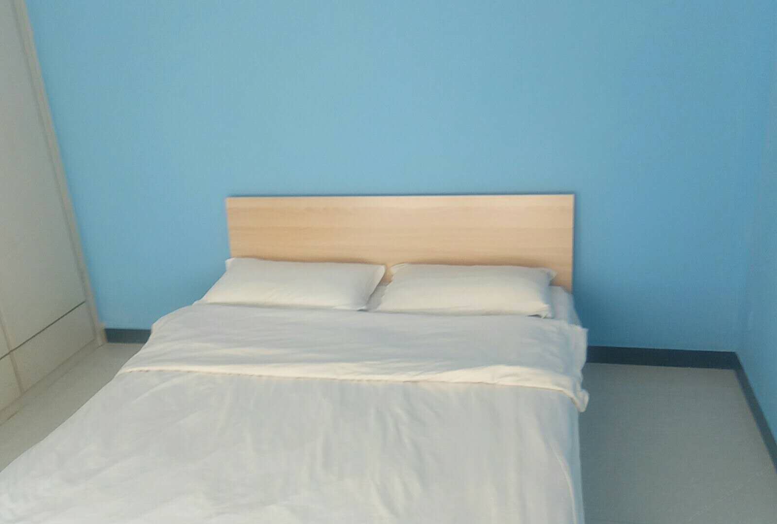 舒馨精品1居室
