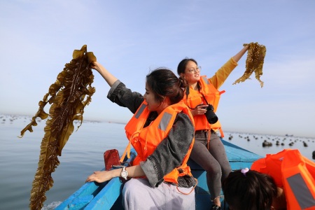 <大连滨海路-棒棰岛-金石滩4日游>3晚市区高档酒店、美食之旅，亲海游、高餐标、哈啤酒、纯玩0购、踏浪黄金海岸、渔船出海、亲子家庭团