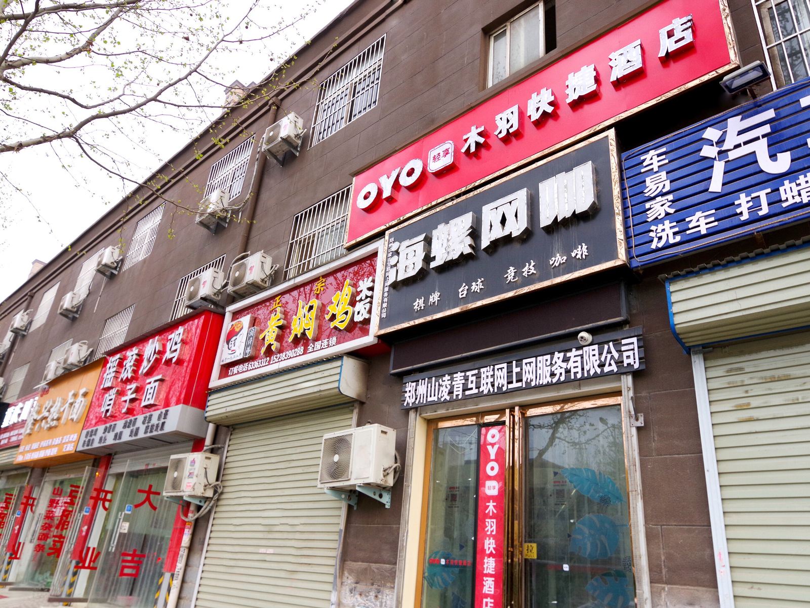 外观