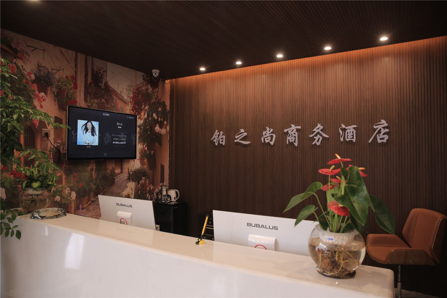 公共区域