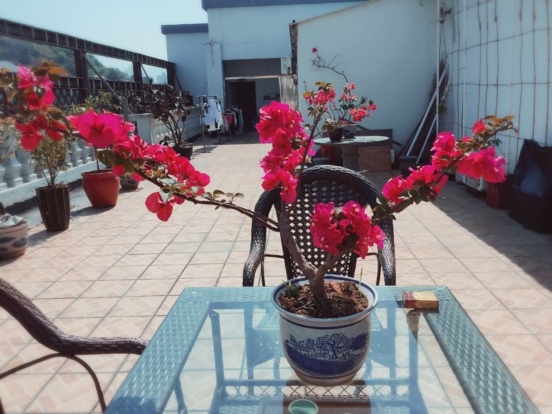 酒店大堂