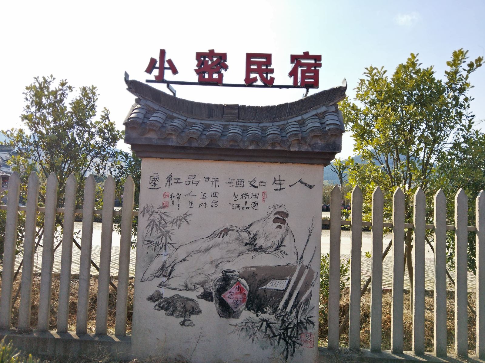 外观