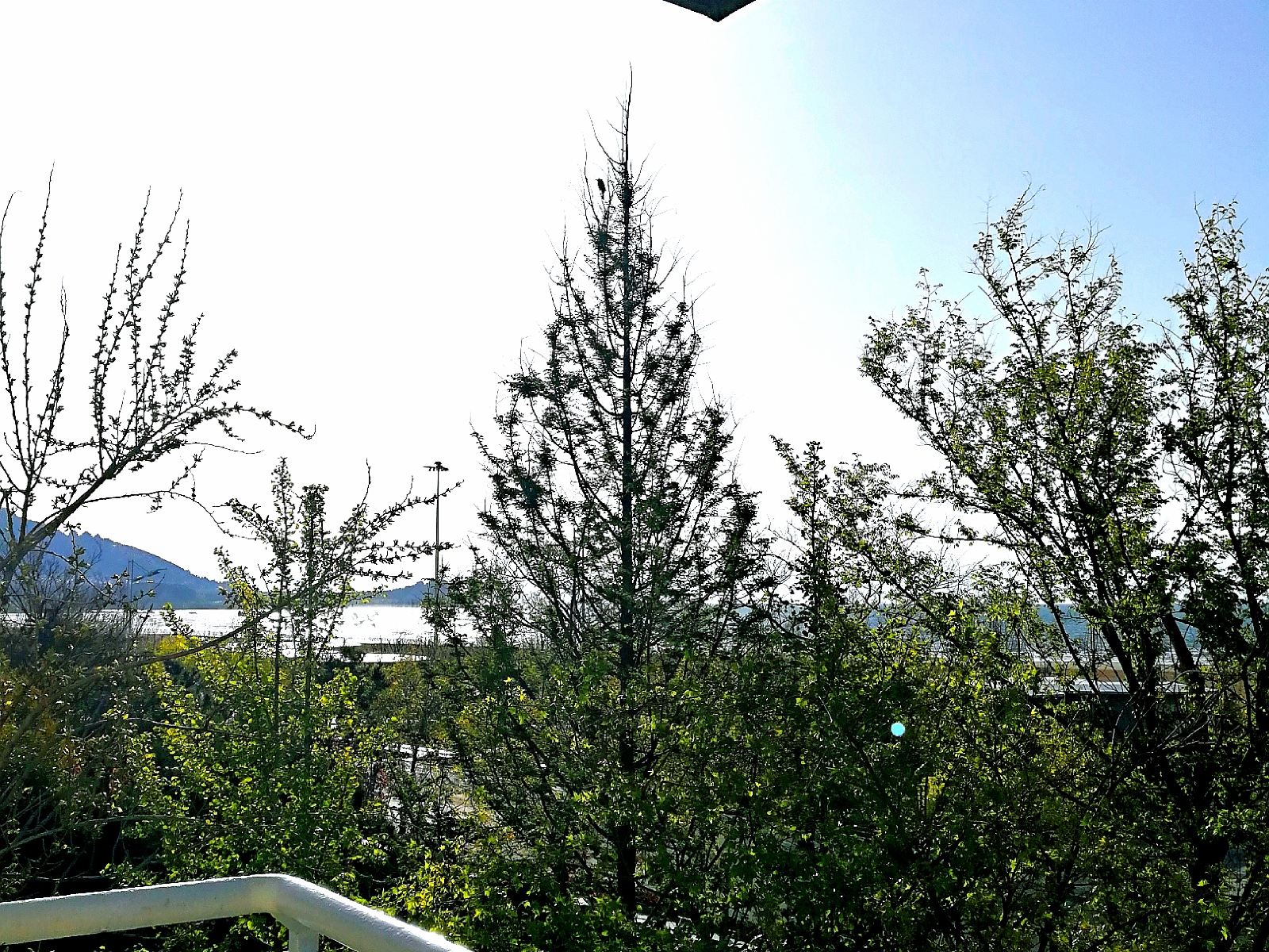 海景阳台大床房